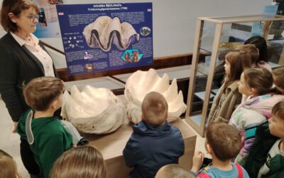 Mali istraživači u posjetu Prirodoslovnom muzeju: od tajni pčela do „nevidljive” invazije