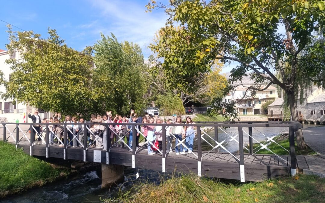 U potrazi za znanjem – od knjižnice do Gašpine mlinice